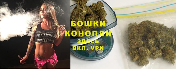 сатива Фурманов