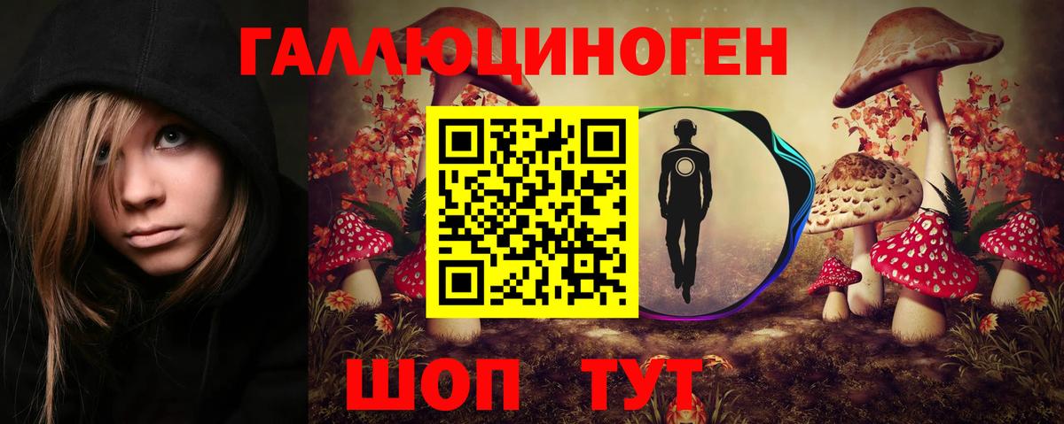 Улан-Удэ  Псилоцибиновые грибы мицелий  Псилоцибиновые грибы Cubensis  Вход с VPN 